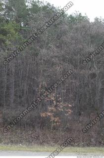 Photo Textures of Nature Mixed